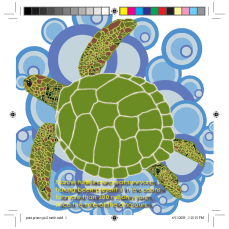 print-promo-pic2-turtle